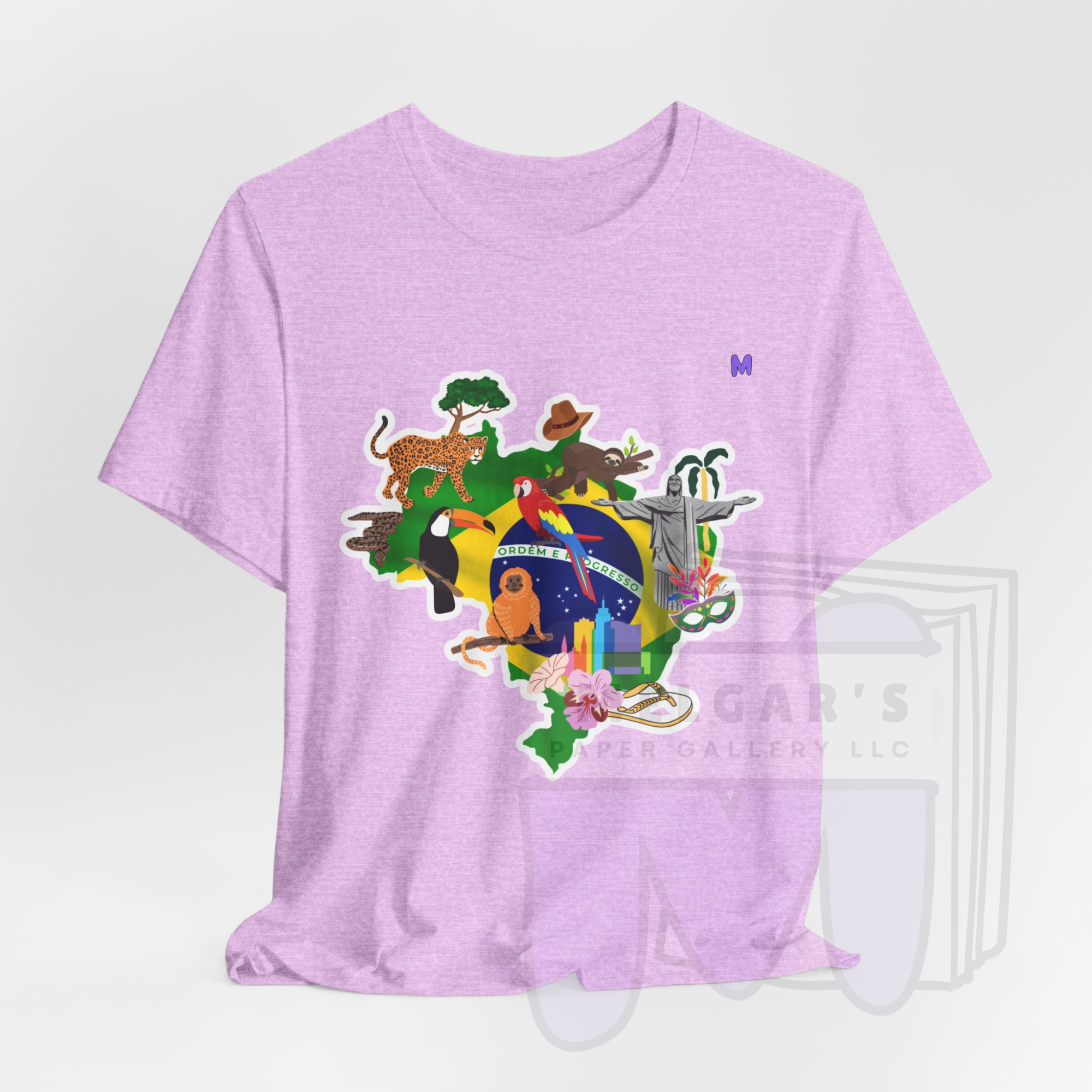 Brazil Heritage Map T-Shirt | Heather Mauve Cultural Graphic Tee for Educators