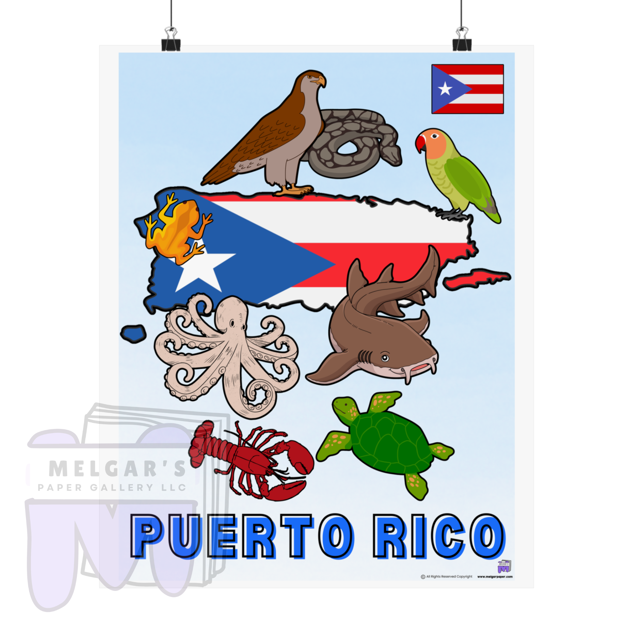 Puerto Rico Heritage & Wildlife Educational Poster – Vibrant Caribbean Geography Wall Art for Classrooms & Home Decor (16x20 or 12x18)