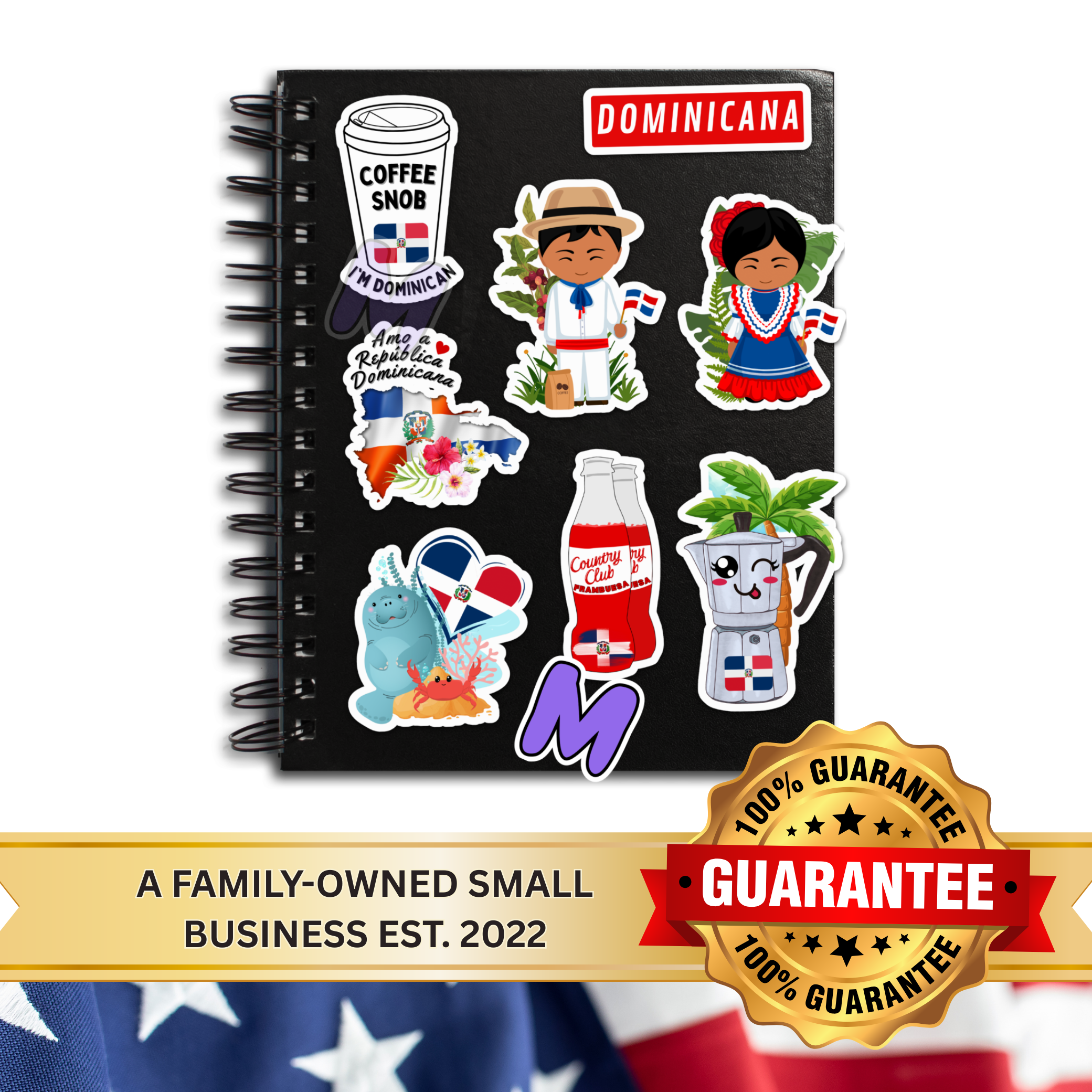 Waterproof Dominican Republic Sticker Pack Set of 8 Large Decals - Waterproof for Laptop, Water Bottle, Notebooks, Students & more!
