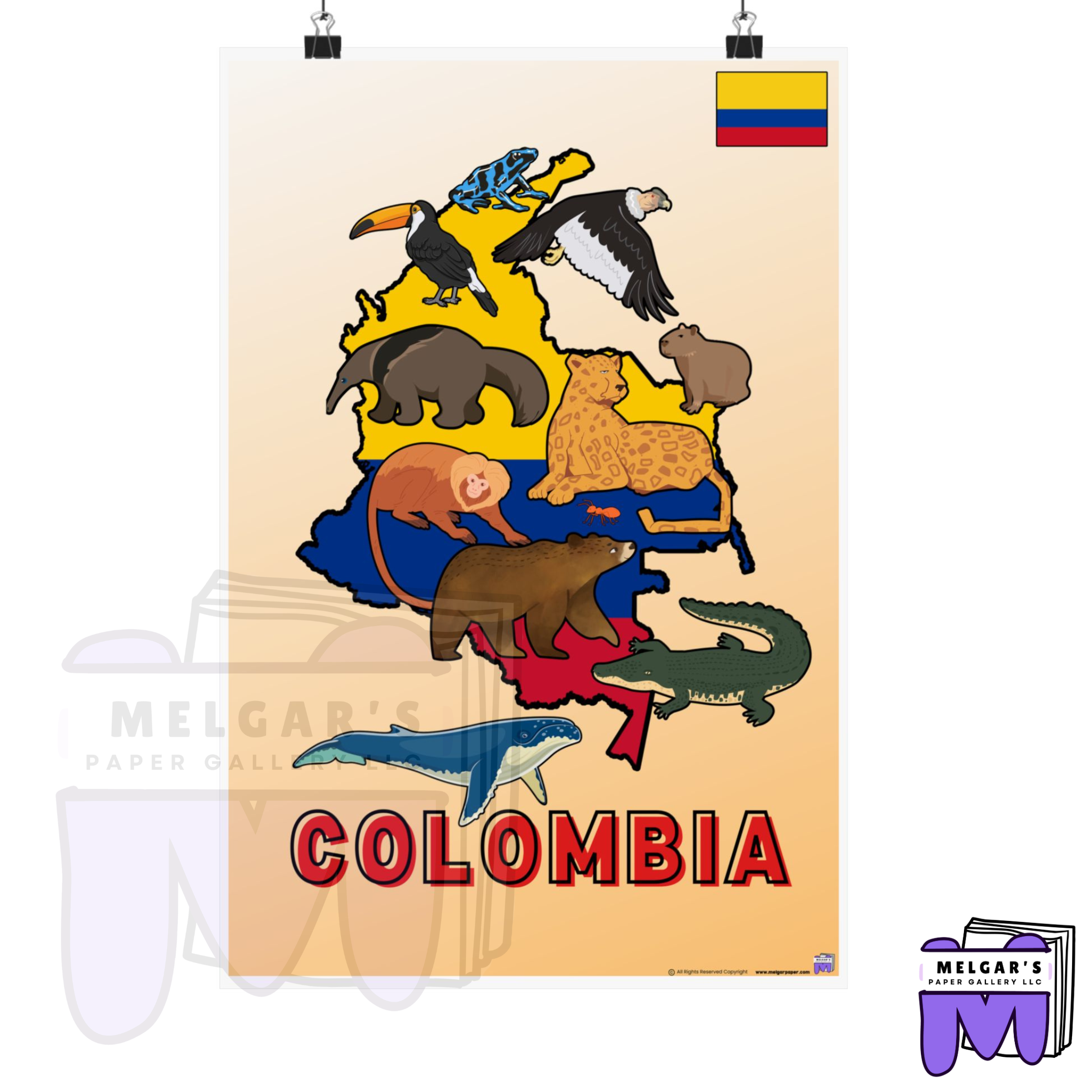 Colombia Wildlife Map Educational Poster – Vibrant & Child-Friendly for Classroom Decor