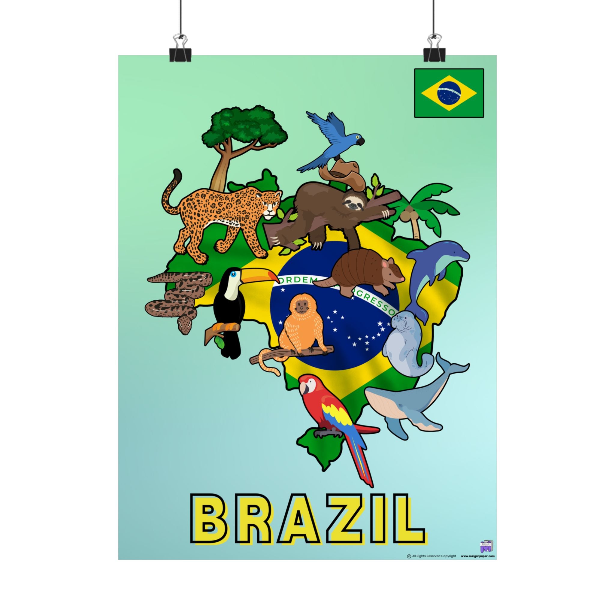 Brazilian Animals Poster – MELGARPAPER ∣ Geography and Culture Classroom Decor (Sizes 12×16 / 18×24)